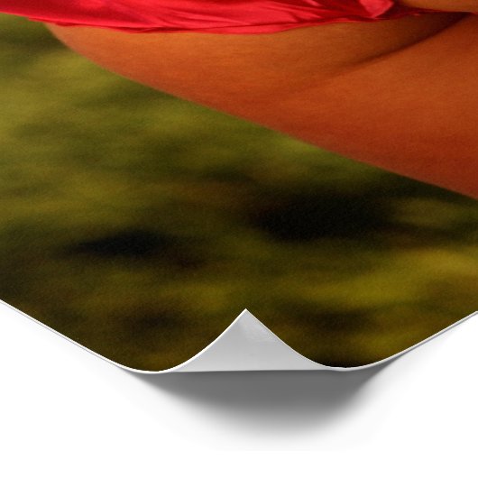 夢のフィールド！ ポスター (角)