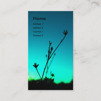 夢のプロフィールカード 名刺