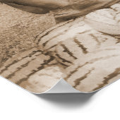 夢のポスター ポスター (角)