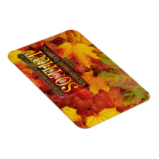 「夢の中で成長する」感動的引用文柔軟性 マグネット (右側)