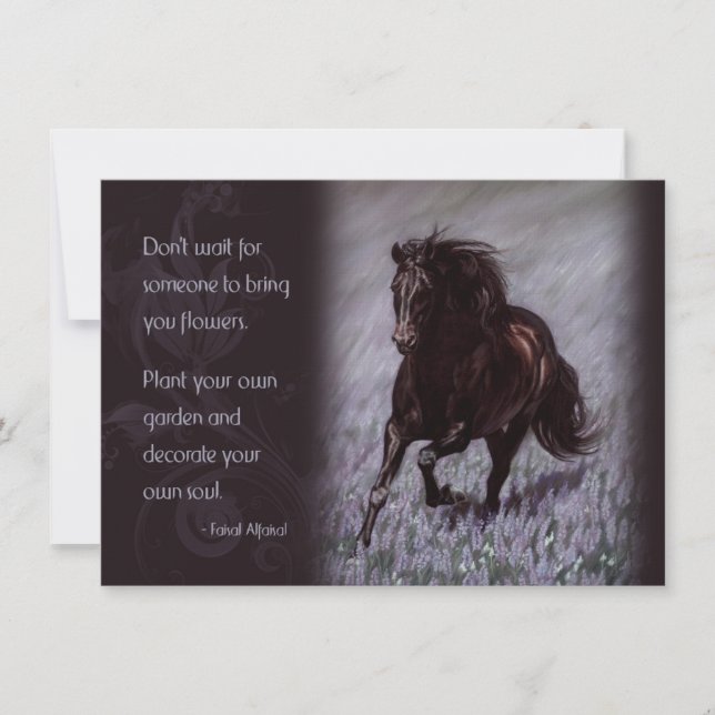 夢の中の黒いステイリオン (正面)