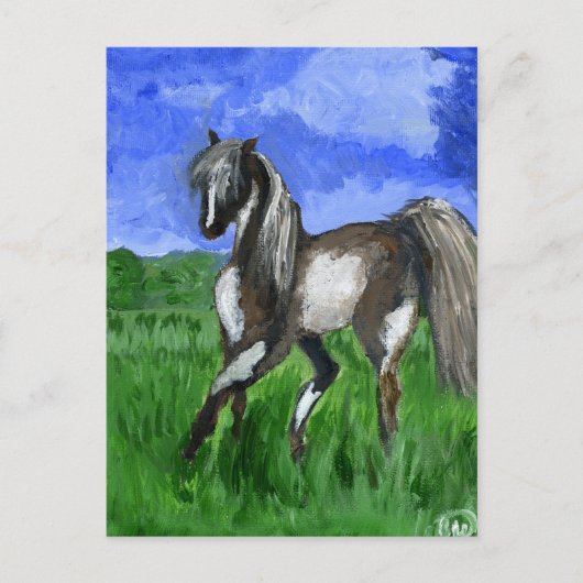 夢の人は馬の芸術に投資 ポストカード (正面)