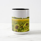 "夢の分野"のマグ ツートーンマグカップ (中央)