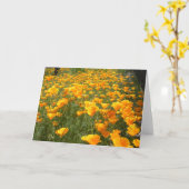 夢の分野 カード (黄色い花)