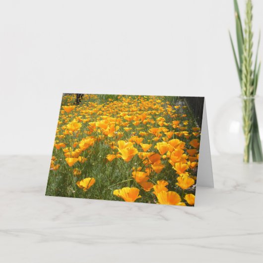 夢の分野 カード (正面)