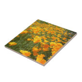 夢の分野 タイル (側面)