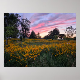 夢の分野 ポスター