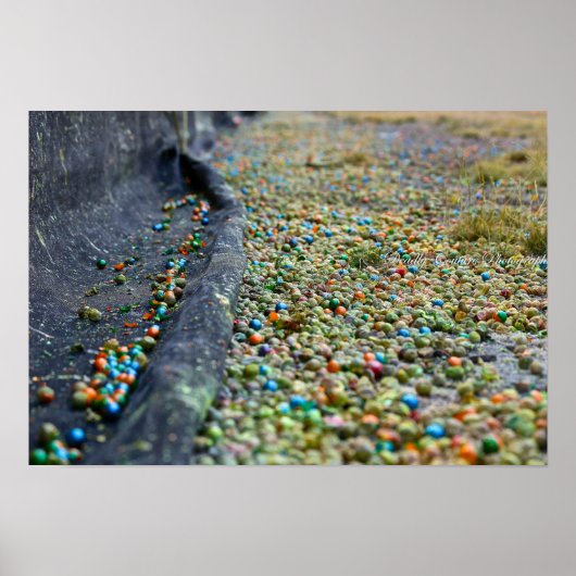 夢の分野 ポスター (正面)