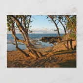 夢の国 ポストカード (正面)