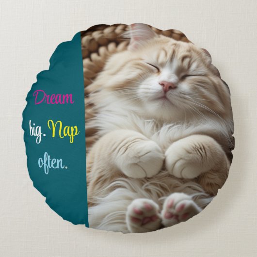 夢の大きい。昼寝頻繁にラウンドクッション ラウンドクッション (正面)