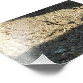 夢の時間を探す フォトプリント            (角)