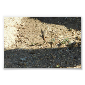 夢の時間を探す フォトプリント           