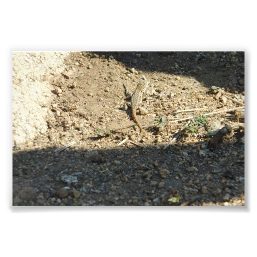 夢の時間を探す フォトプリント            (正面)