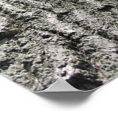 夢の木 ポスター (角)