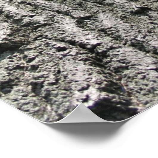 夢の木 ポスター (角)