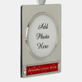 夢の来真の写真 シルバープレートバナーオーナメント (右)