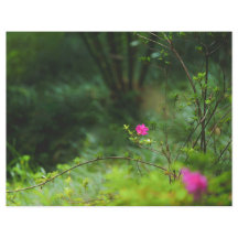 夢の森の花 スクラップブックペーパー