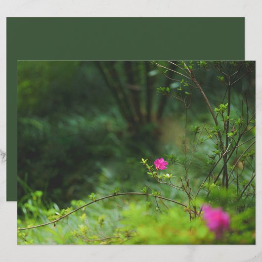 夢の森の花 スクラップブックペーパー (正面/裏面)