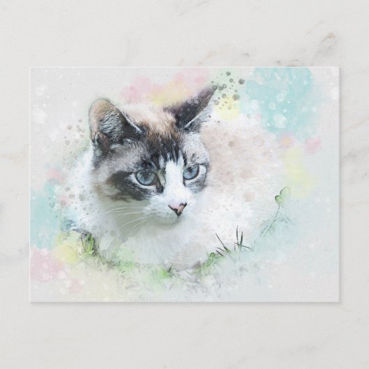 夢の猫はがき ポストカード (正面)