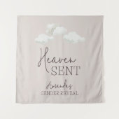 夢の男女兼用天国がジェンダーの暴露を送信 タペストリー (正面)