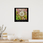 夢の真来のポ感動的スター ポスター (キッチン)