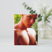 夢の胸 ポストカード (スタンド正面)