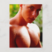 夢の胸 ポストカード (正面)