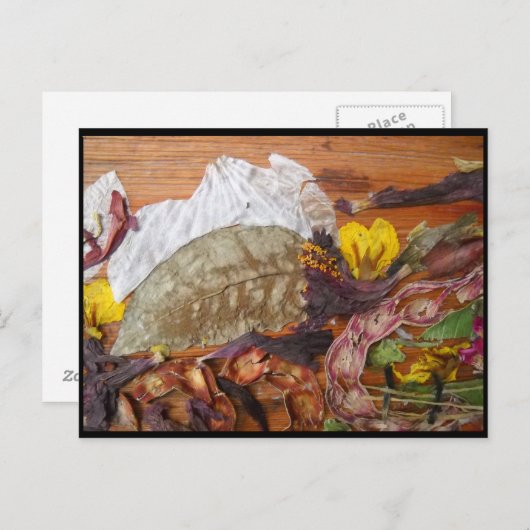 夢の風景 ポストカード (正面/裏面)