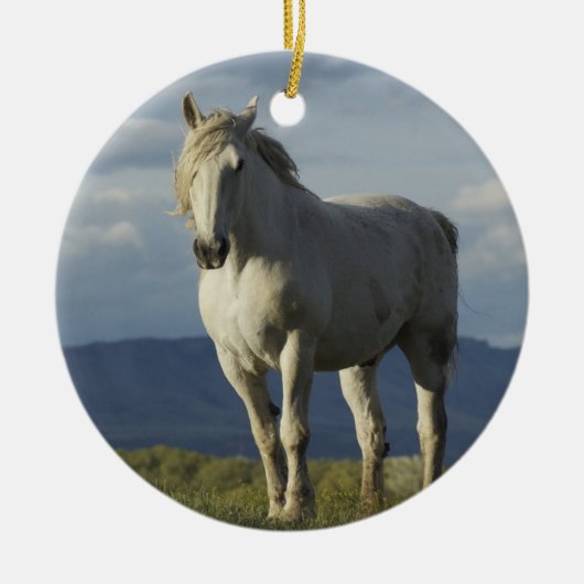 夢の騎士 セラミックオーナメント (正面)