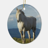 夢の騎士 セラミックオーナメント (左)
