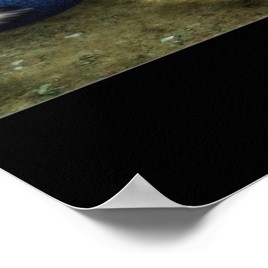 夢の魔法 ポスター (角)