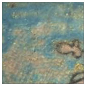 夢は本当を来ることができます ファブリック (見本)