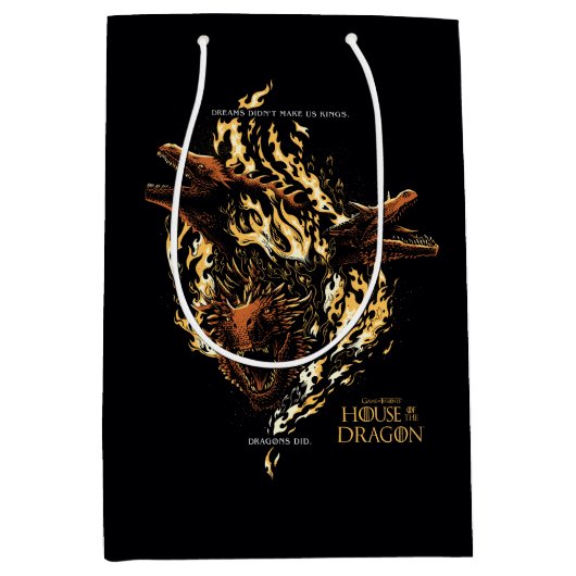 夢は私たちを王にしなかった。ドラゴンがやった。 ミディアムペーパーバッグ (正面)