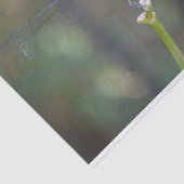 夢みるようなトンボのティッシュペーパー 薄葉紙 (詳細)