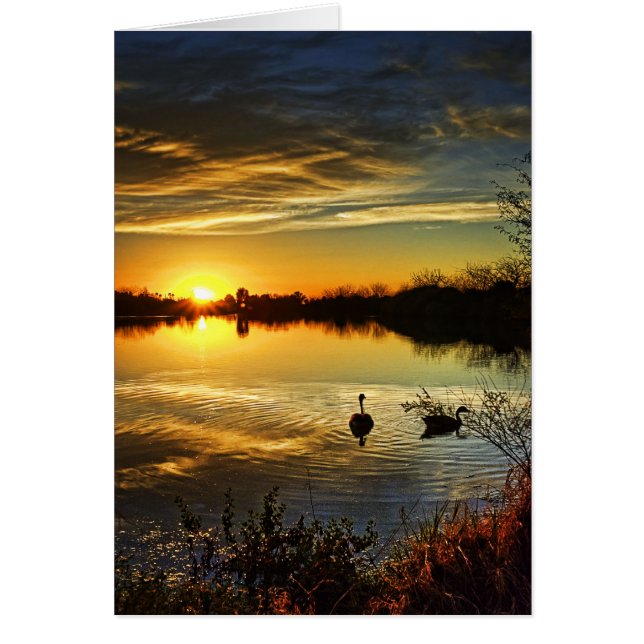 夢みるような日没 (正面)