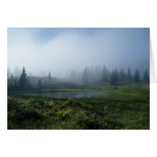 夢みるような日