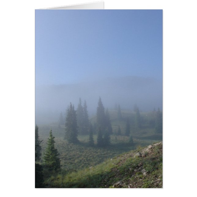 夢みるような日 (正面)