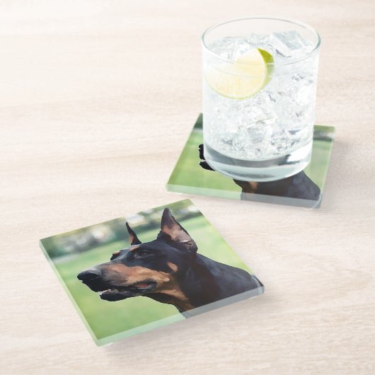 夢みるような(犬)ドーベルマン・ピンシェルの顔の絵画 ガラスコースター (アングル)