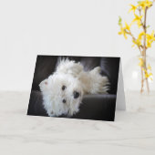 夢みる人厄介なwestieの挨拶状 カード (黄色い花)