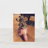 夢を生きろ。 カード (正面)