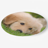 夢を見ているゴールデン・リトリーバーのかわいい子犬パーティー ペーパープレート (アングル)