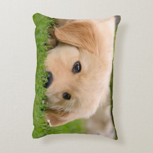 夢を見ているゴールデン・リトリーバーのかわいい子犬投球 アクセントクッション (裏面(縦))