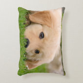夢を見ているゴールデン・リトリーバーのかわいい子犬投球 アクセントクッション (正面(垂直))