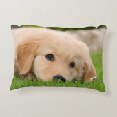 夢を見ているゴールデン・リトリーバーのかわいい子犬投球 アクセントクッション (裏面)