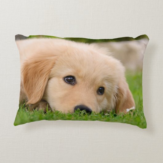 夢を見ているゴールデン・リトリーバーのかわいい子犬投球 アクセントクッション (裏面)