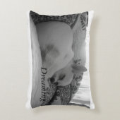 夢を見ること アクセントクッション (正面(垂直))