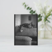 夢を見ること ポストカード (スタンド正面)