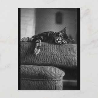 夢を見ること ポストカード