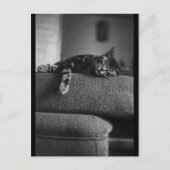 夢を見ること ポストカード (正面)