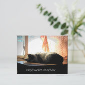 夢を見るチャンス ポストカード (スタンド正面)